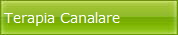 Terapia Canalare